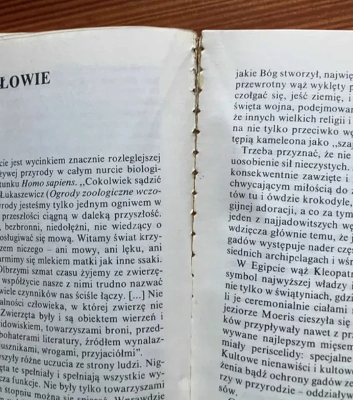 a958ceb0edd07f62a2c251fbeebd1f45