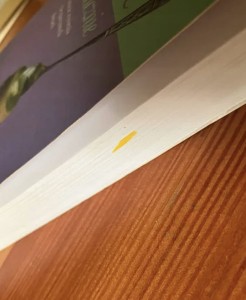 25ed4948d5e20a9a1ced7f54e0a77cb0