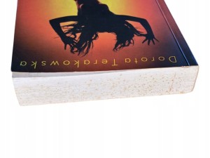 1160cc913cfad075c812ce22cd0a3e61