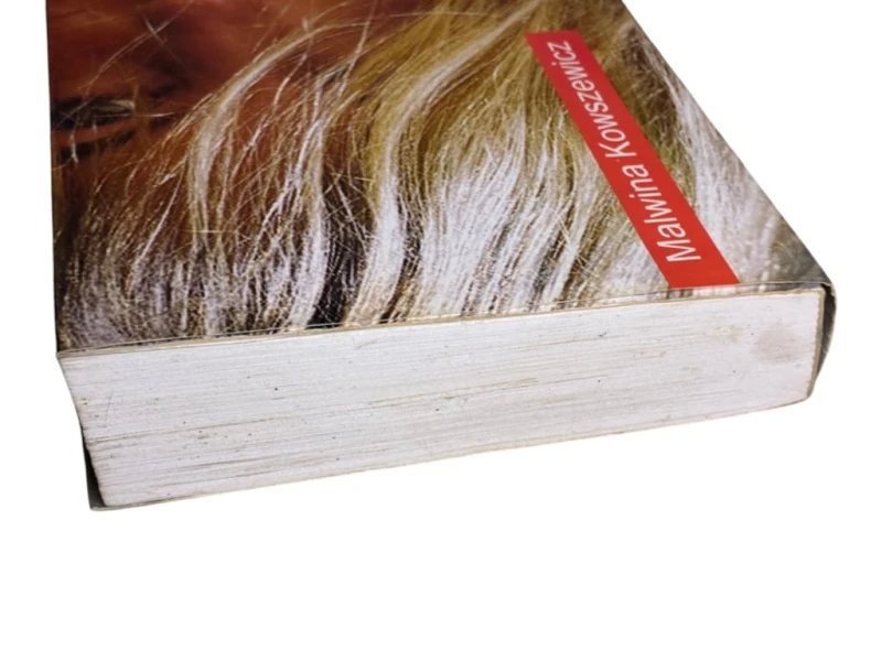 60946495db570bc5c6c2858a42e99aa6