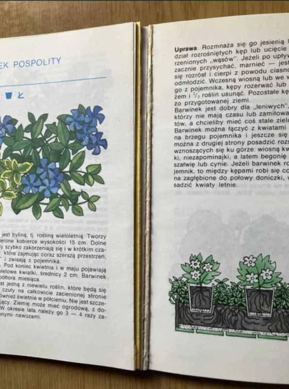 5b8b3db6bd795513f12a65b1cfcf6e3b