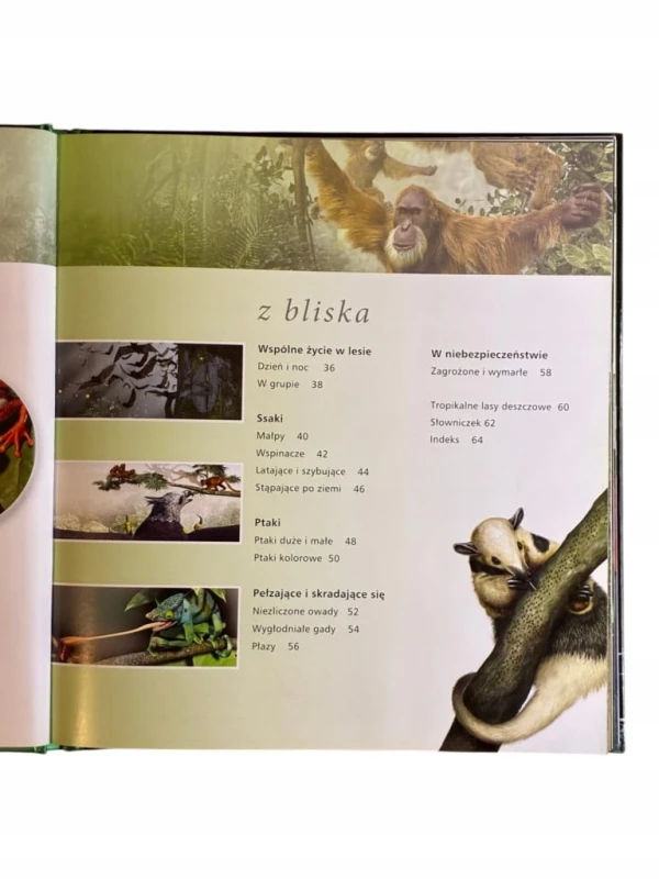 1e41a99b35204ea8b3a8adb2615cd360