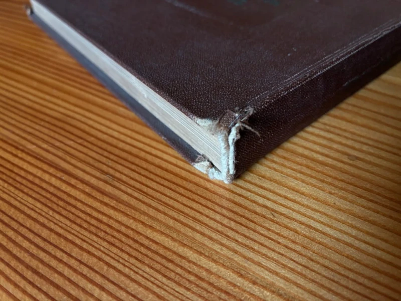 90bbc9a897dcdef21a77bca7ee6d5556