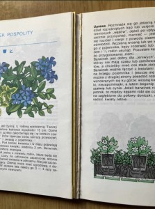 5b8b3db6bd795513f12a65b1cfcf6e3b