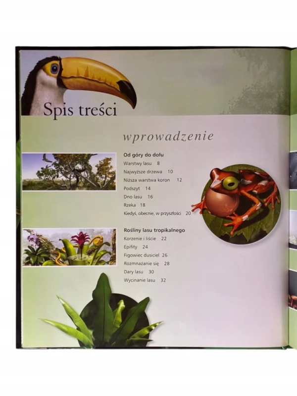 1298be5f7ecffc0634a1ce69c334d022