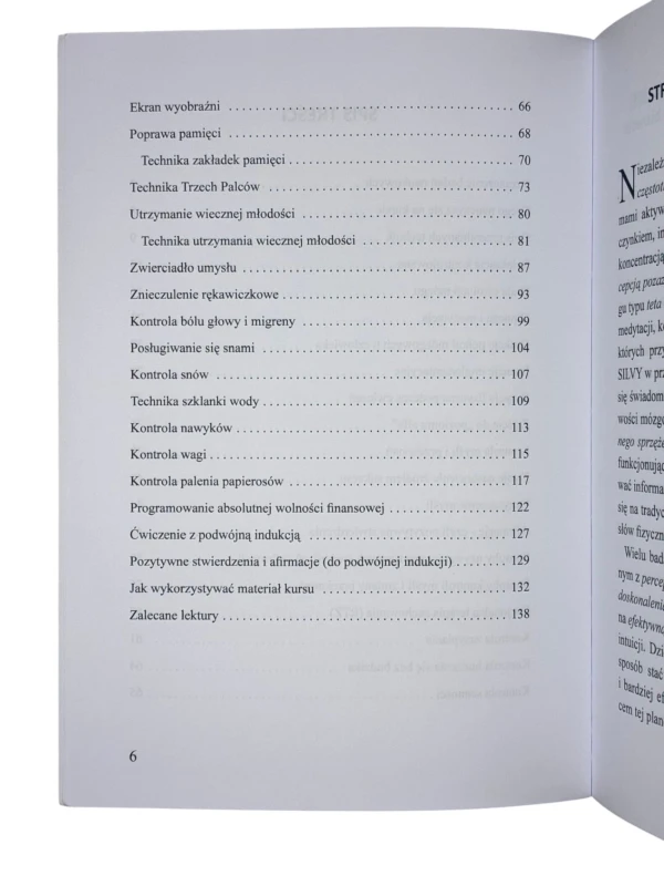 Silva Life System Skuteczny manager w życiu i w biznesie