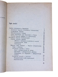 Begonie A. Górska
