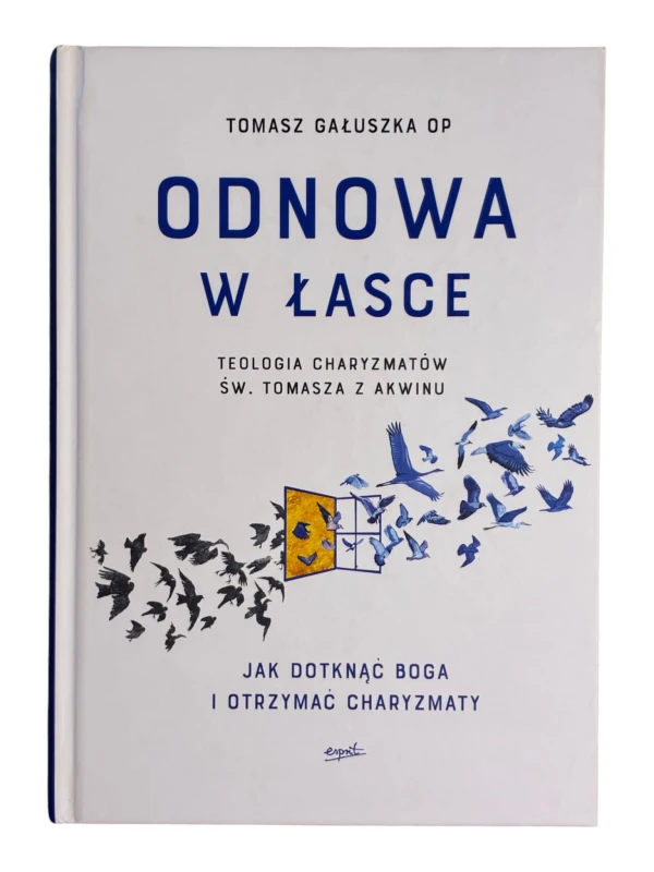 Odnowa w łasce Tomasz Gałuszka
