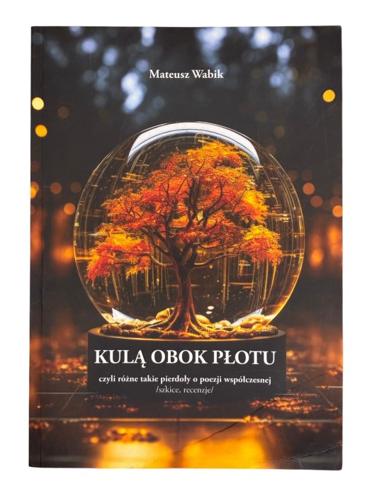 Kulą obok płotu czyli takie pierdoły o poezji współczesnej Mateusz Wabik
