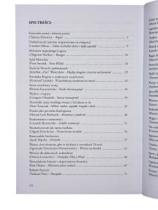 Kulą obok płotu czyli takie pierdoły o poezji współczesnej Mateusz Wabik