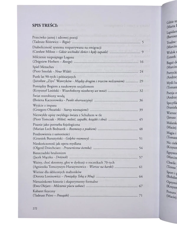 Kulą obok płotu czyli takie pierdoły o poezji współczesnej Mateusz Wabik