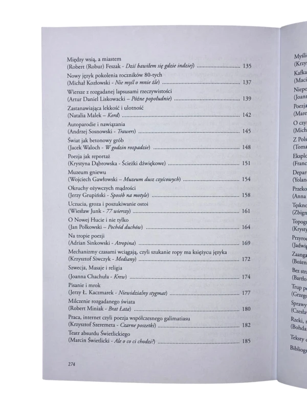 Kulą obok płotu czyli takie pierdoły o poezji współczesnej Mateusz Wabik