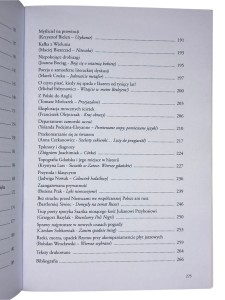 Kulą obok płotu czyli takie pierdoły o poezji współczesnej Mateusz Wabik