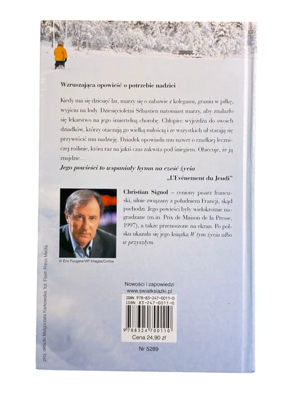 Zimowa róża Christian Signol