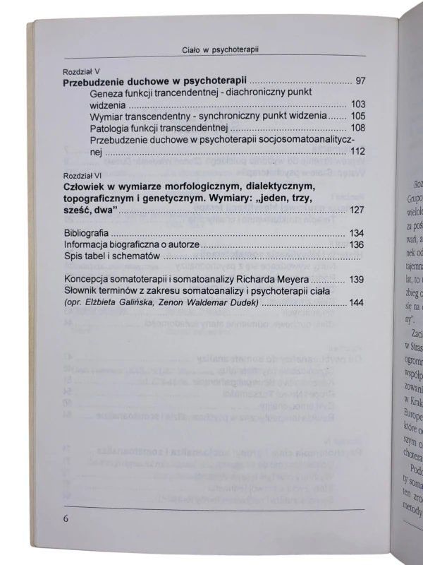 Somatoterapia Ciało w psychoterapii Richard Meyer