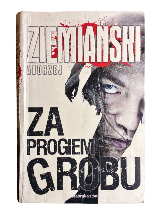 Za progiem grobu Andrzej Ziemiański