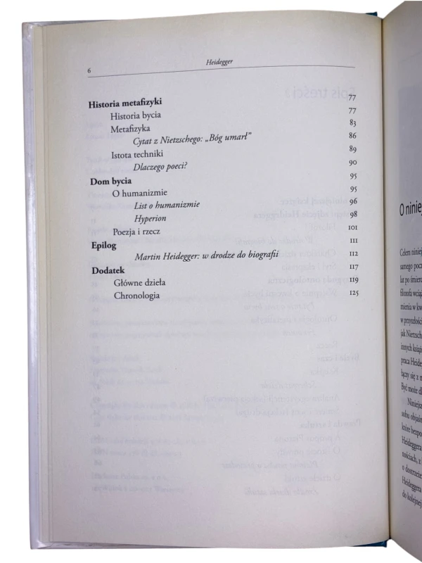 Heidegger. Zapomnienie bycia Arturo Leyte