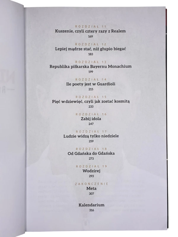 Nienasycony. Robert Lewandowski Paweł Wilkowicz