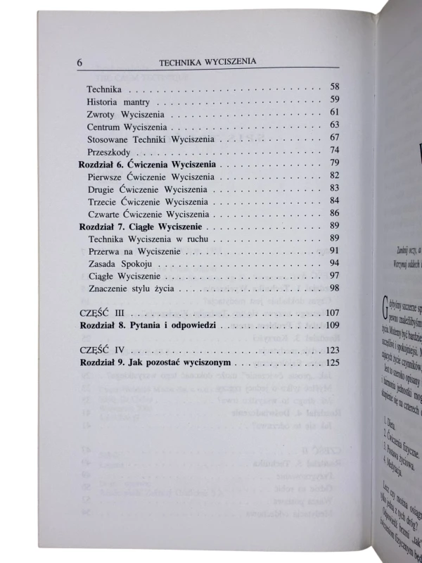 Technika wyciszenia Krok po kroku Paul Wilson