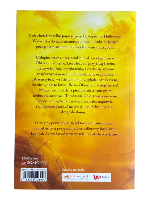 Łupieżcy niebios. Tom 1 Brandon Mull