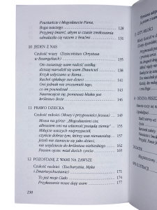 Niczym pieszczota. Odkrywanie Boga czułego i miłosiernego Luciano Cupia