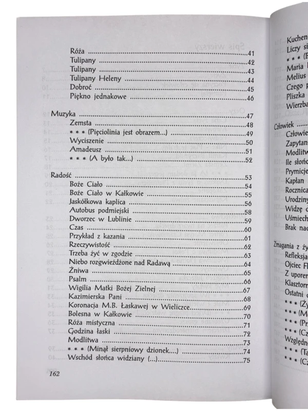 Dotykanie tajemnicy Albin Sroka