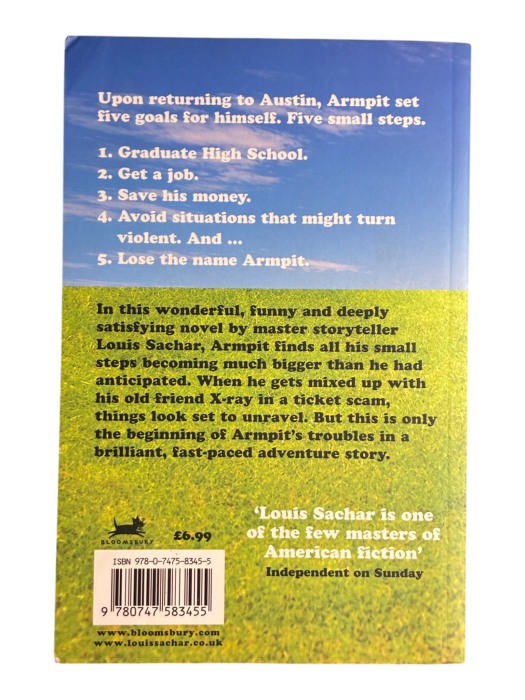 Small Steps Louis Sachar