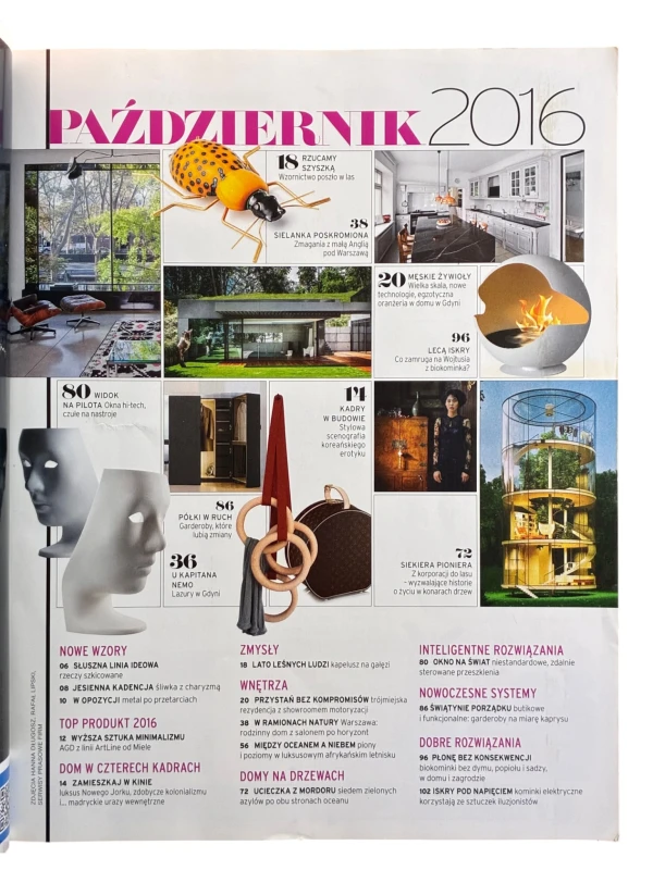 Dobre Wnętrze nr 10 (223) październik 2016