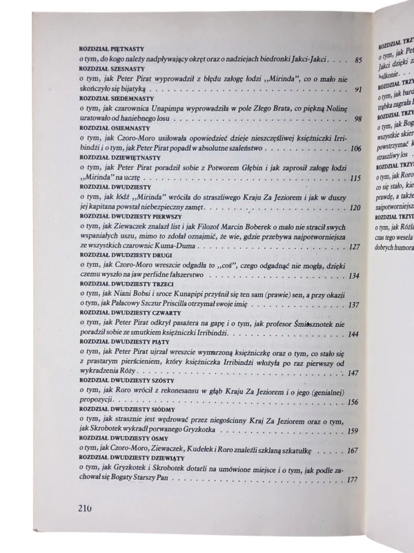 O nieszczęśliwej księżniczce Irribindżi, dzielnej Czoro-Moro i Peterze piracie Marta Tomaszewska