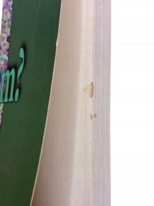 01a4b293f91120f716af3e9718ab7029