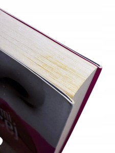 81e1d5fb75047928a2bdbaeb776b2ae5