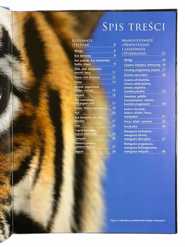 d42198372a7cfea21ce127597b886e4f