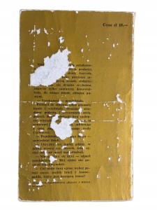 084fcb5570032ab56ac742ca23031383