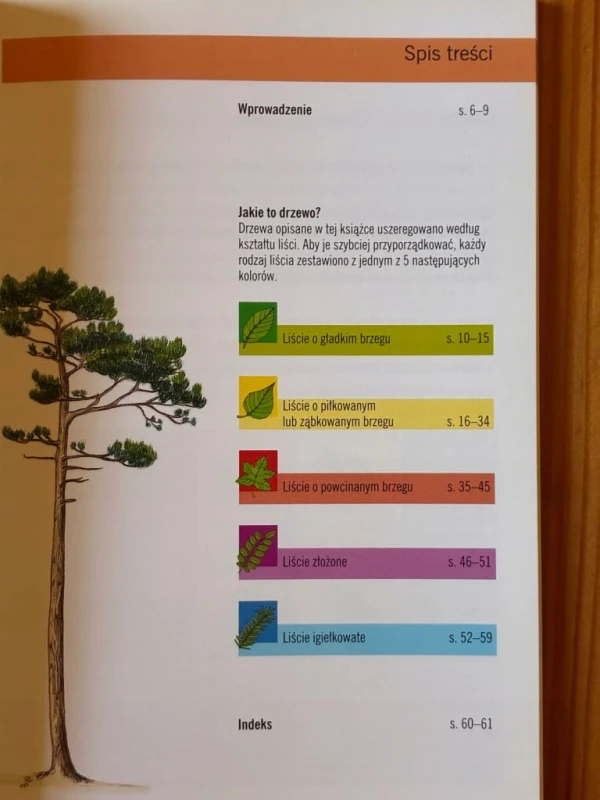 98718f6a7d486bc3563ce86fcbe26db7