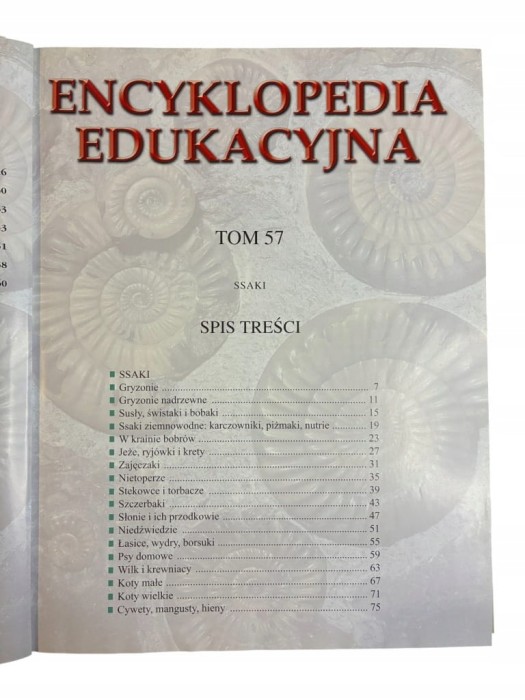 2aa329623c4e3a23d85ffb21fe6213a8