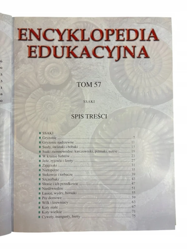 2aa329623c4e3a23d85ffb21fe6213a8