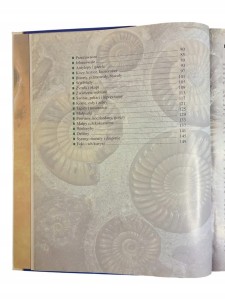 8f5eb90bf17be1618c09611162c576a1